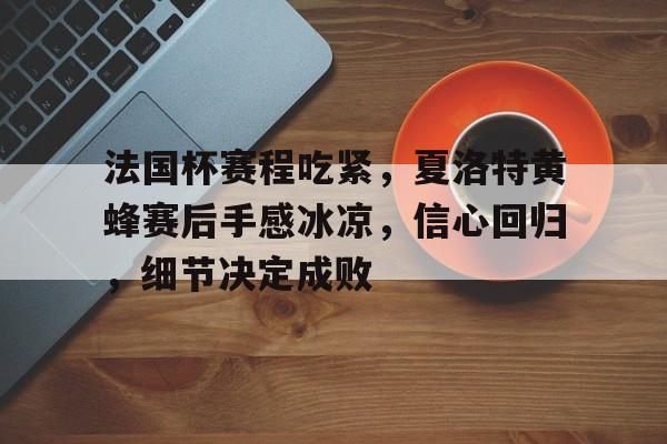 包含法国杯赛程吃紧，夏洛特黄蜂赛后手感冰凉，信心回归，细节决定成败的词条